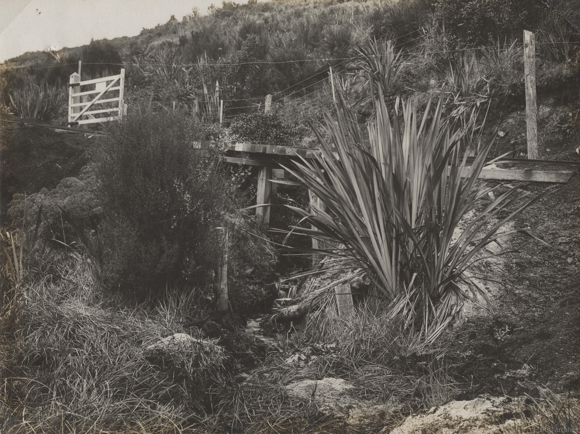 Fernhill Mine