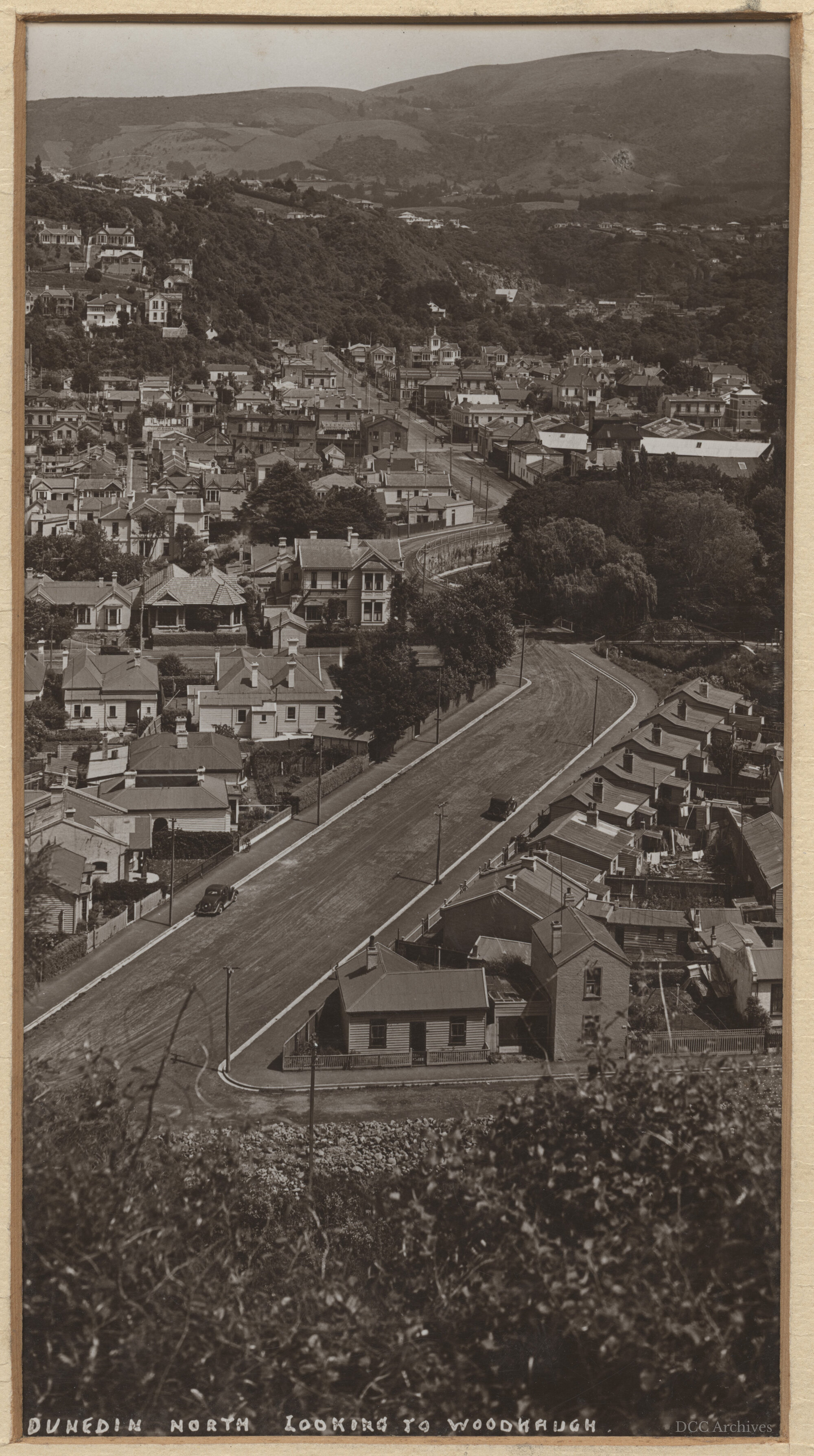 Brook Street, North Dunedin