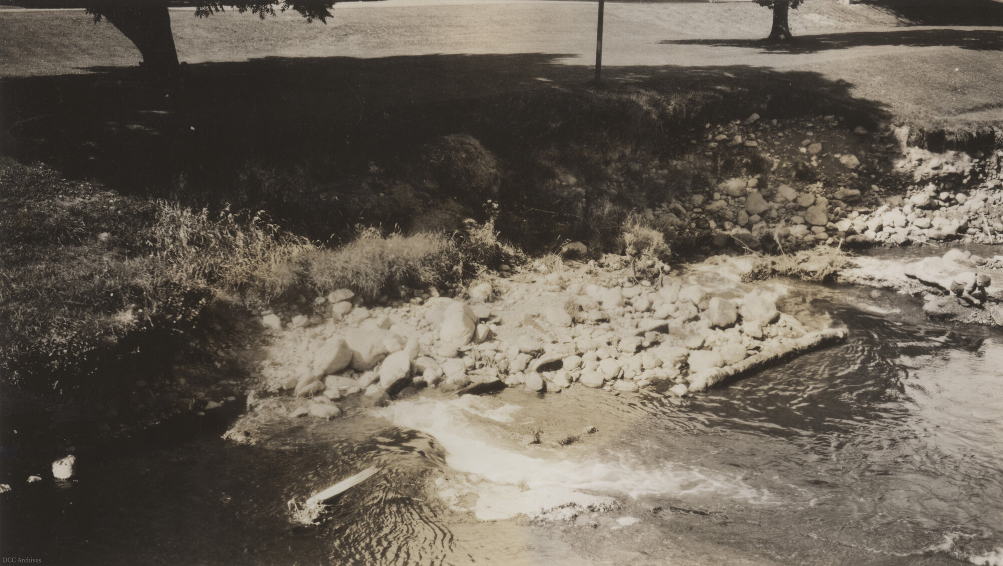 Leith River Erosion