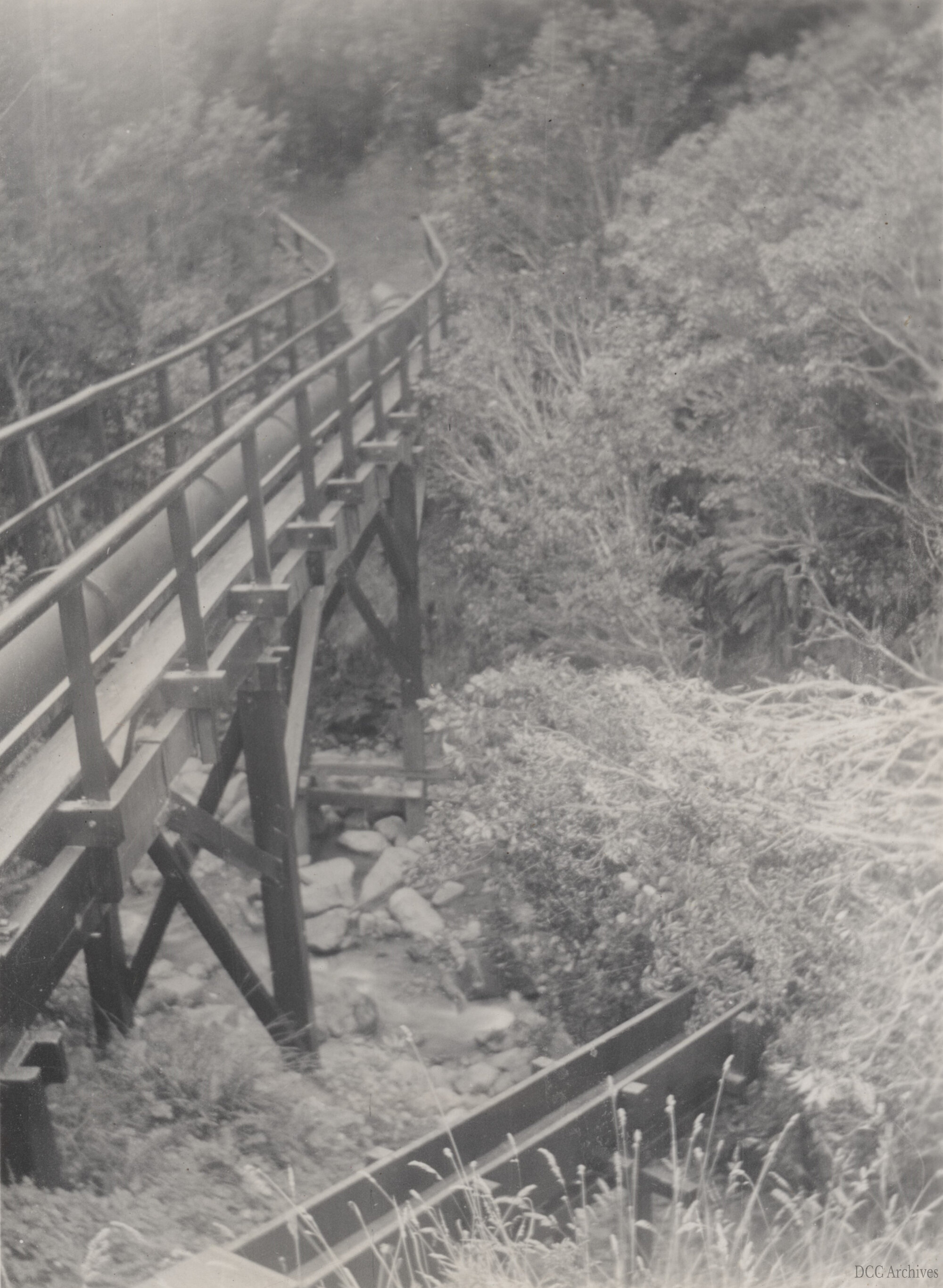 Bridge Carrying Pipe from Burns Creek Across Williams Creek