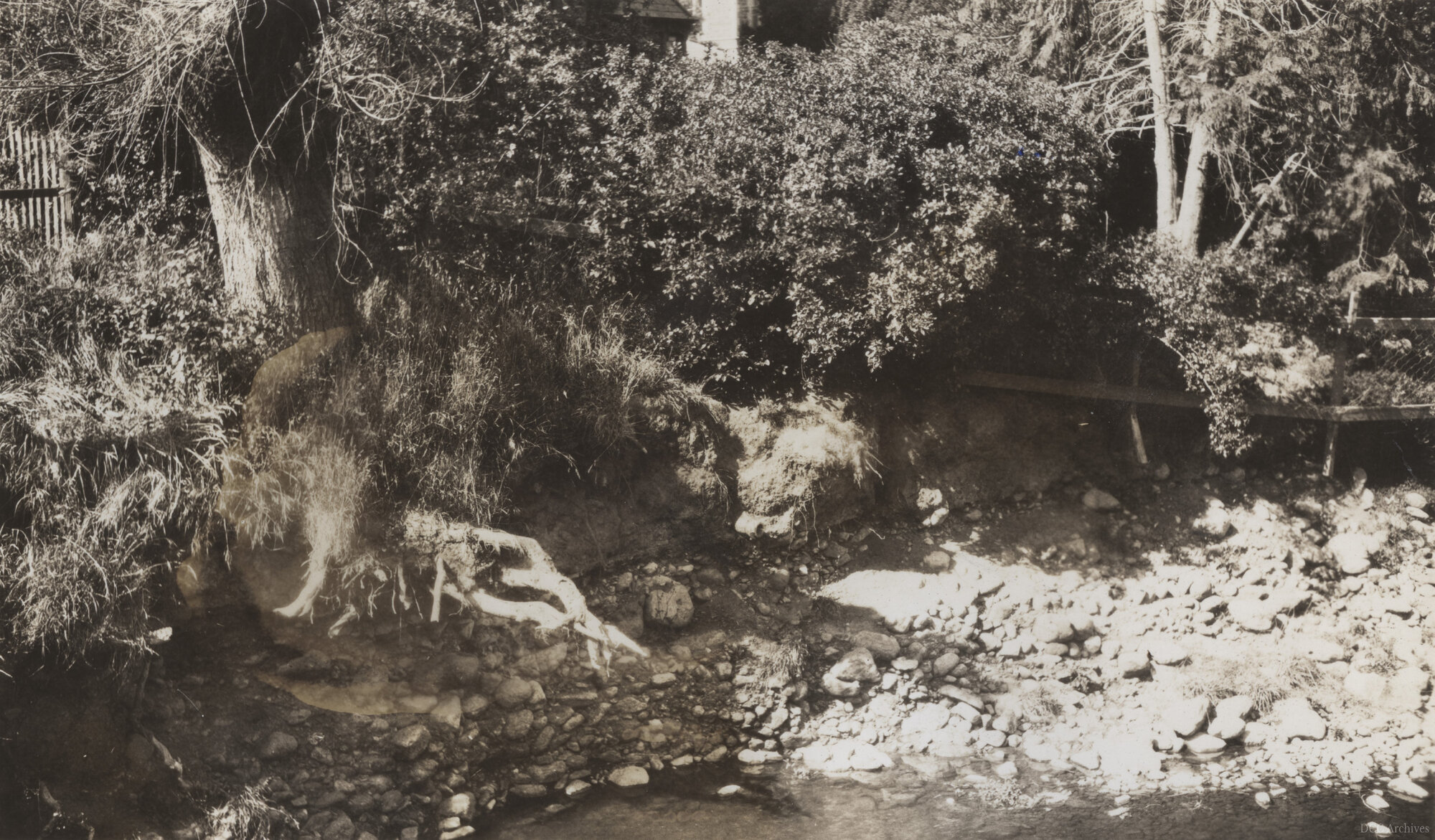 Leith River Erosion