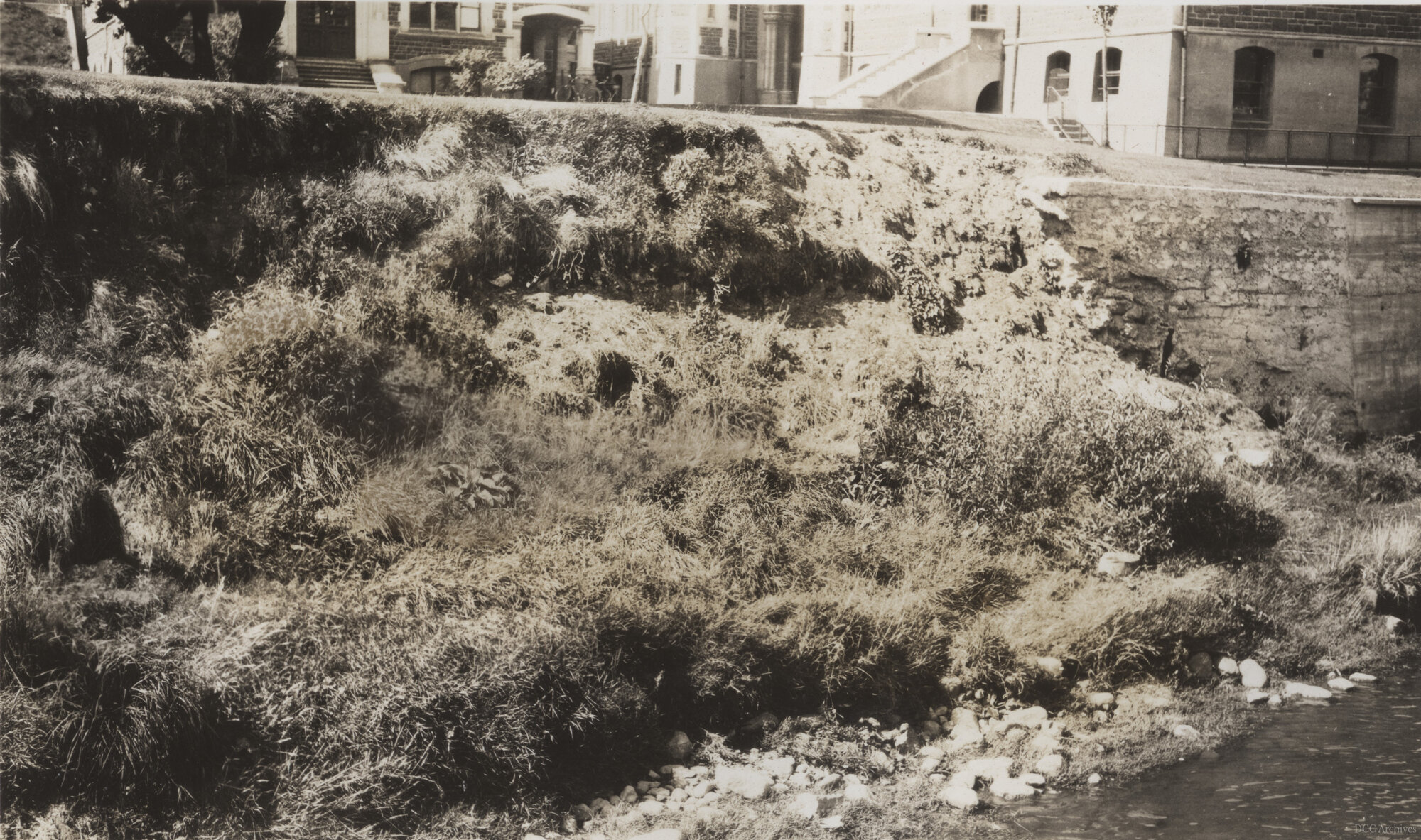 Leith River Erosion
