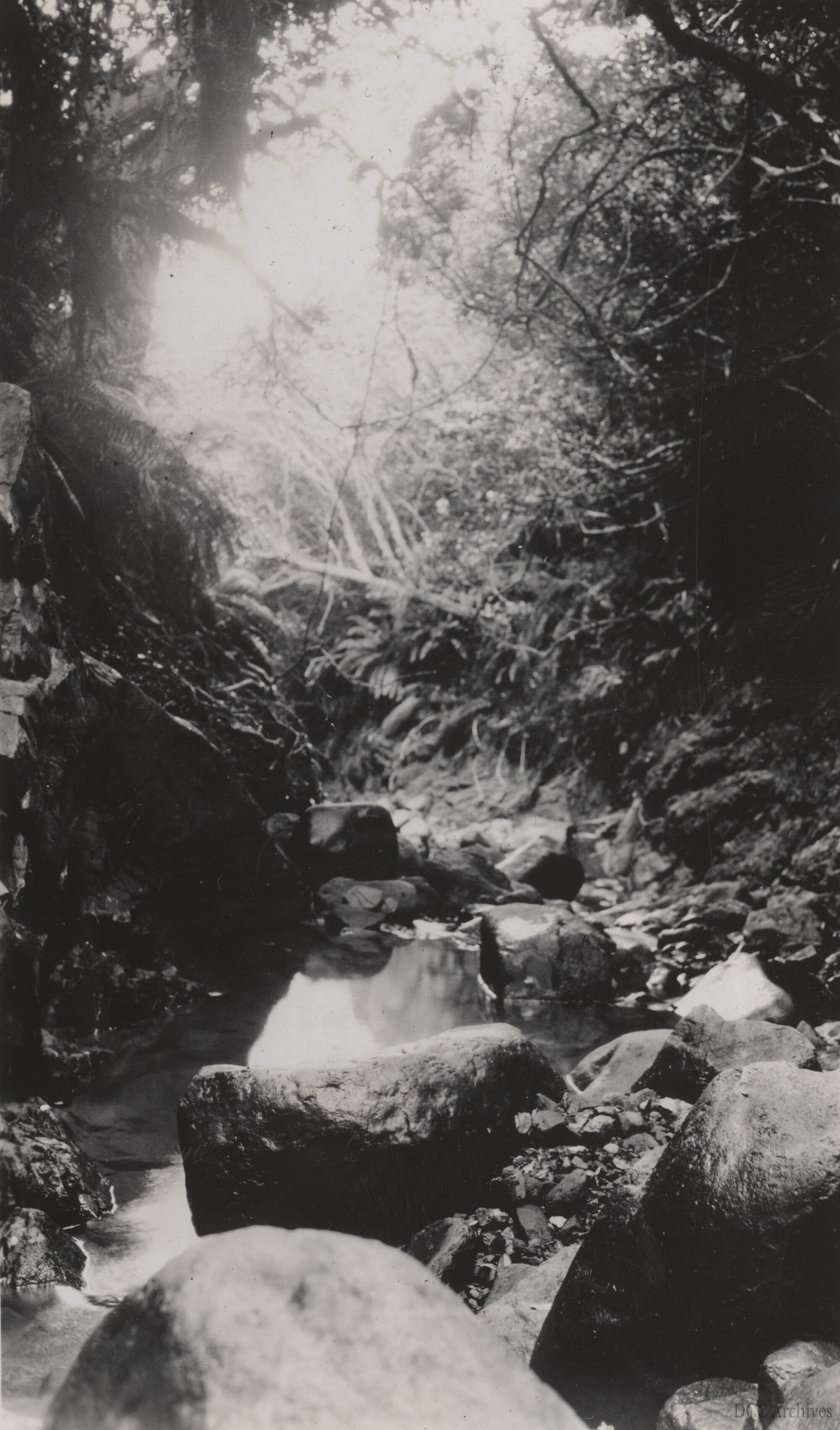 West Branch of Leith River After Flooding