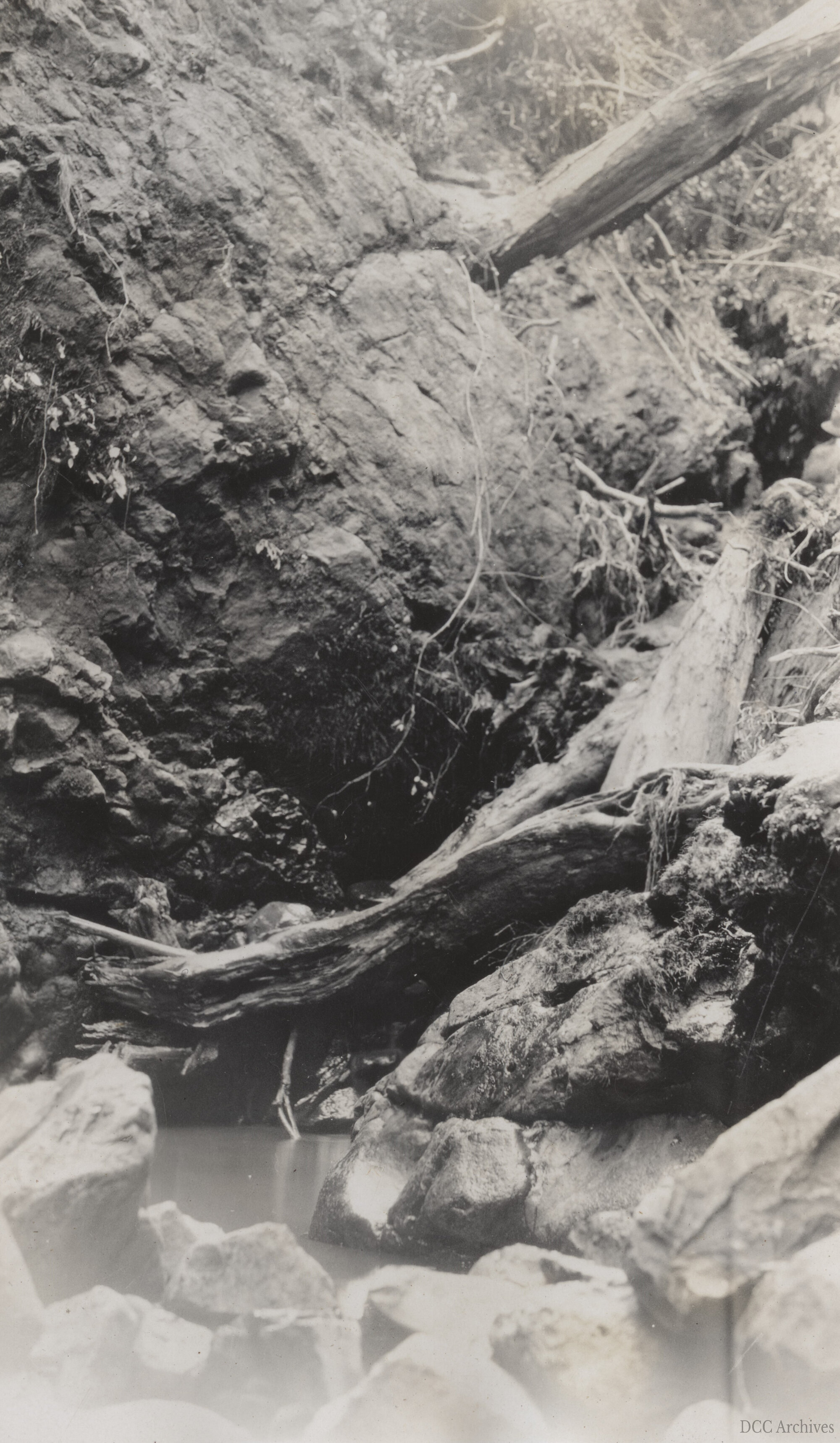 West Branch of Leith River After Flooding