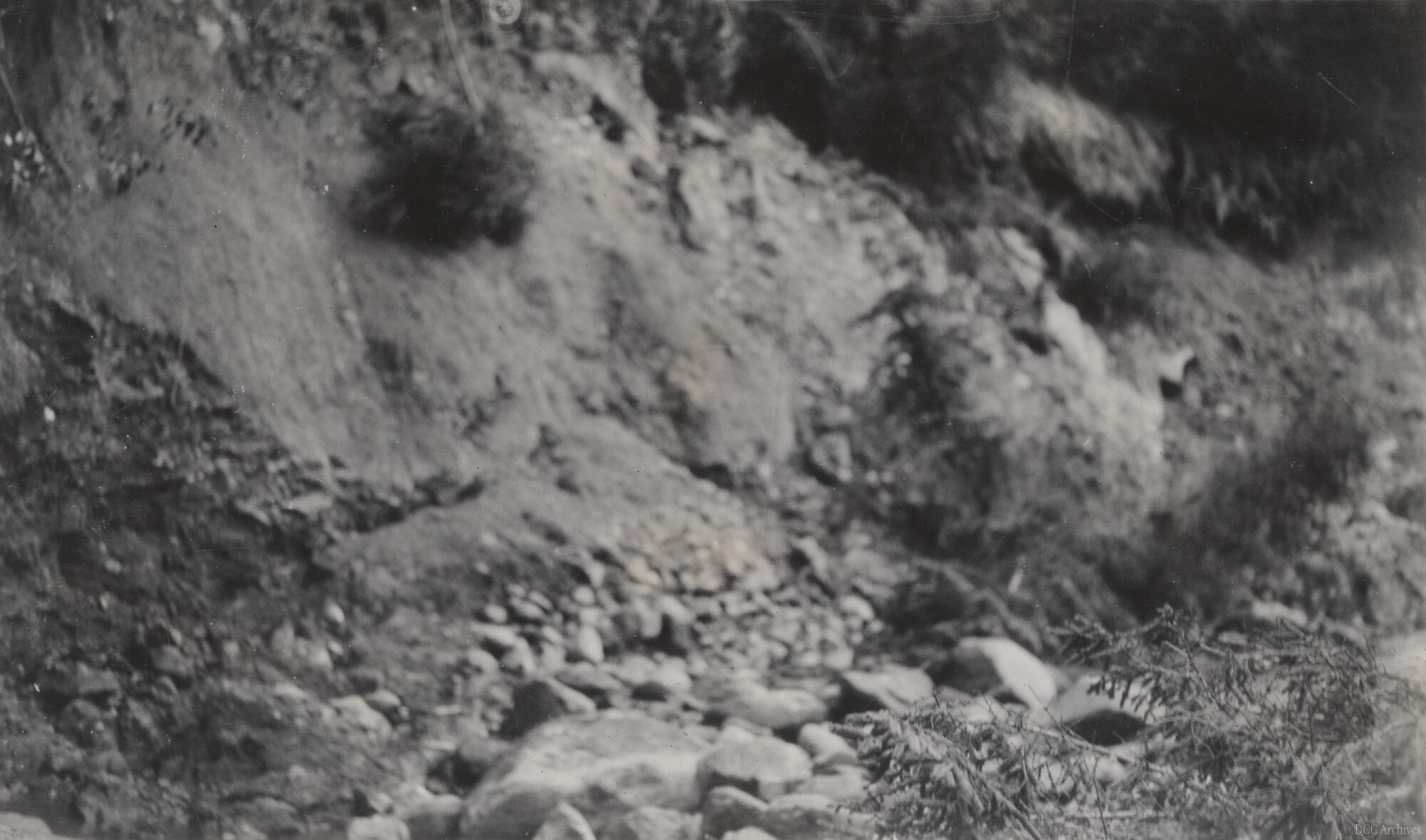 West Branch of Leith River After Flooding