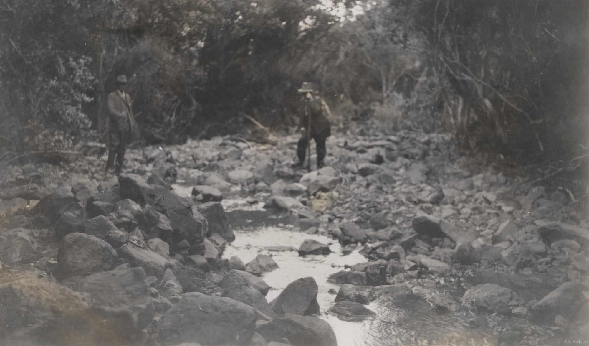 West Branch of Leith River After Flooding