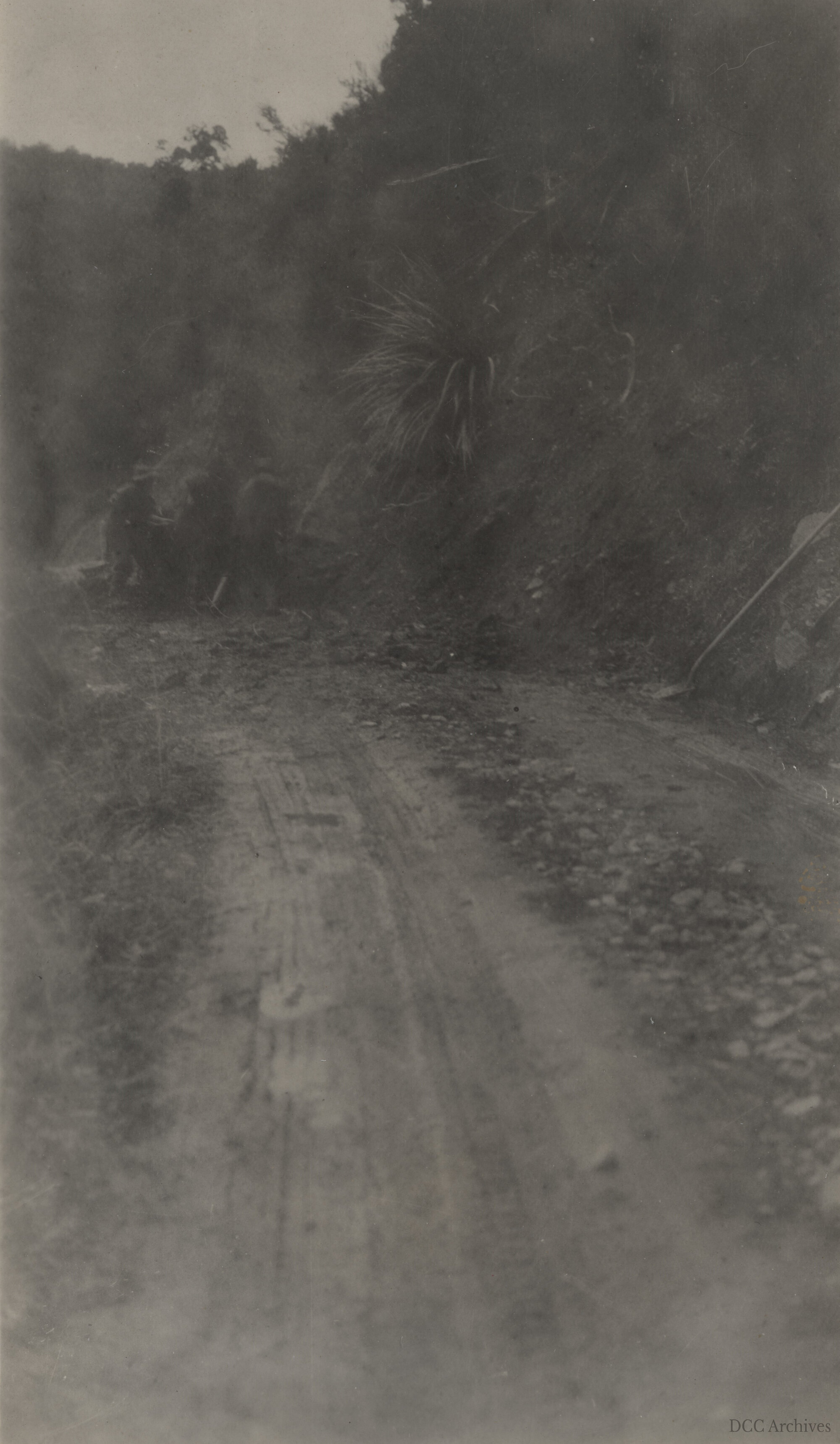 Acess Road at Mahinerangi Dam