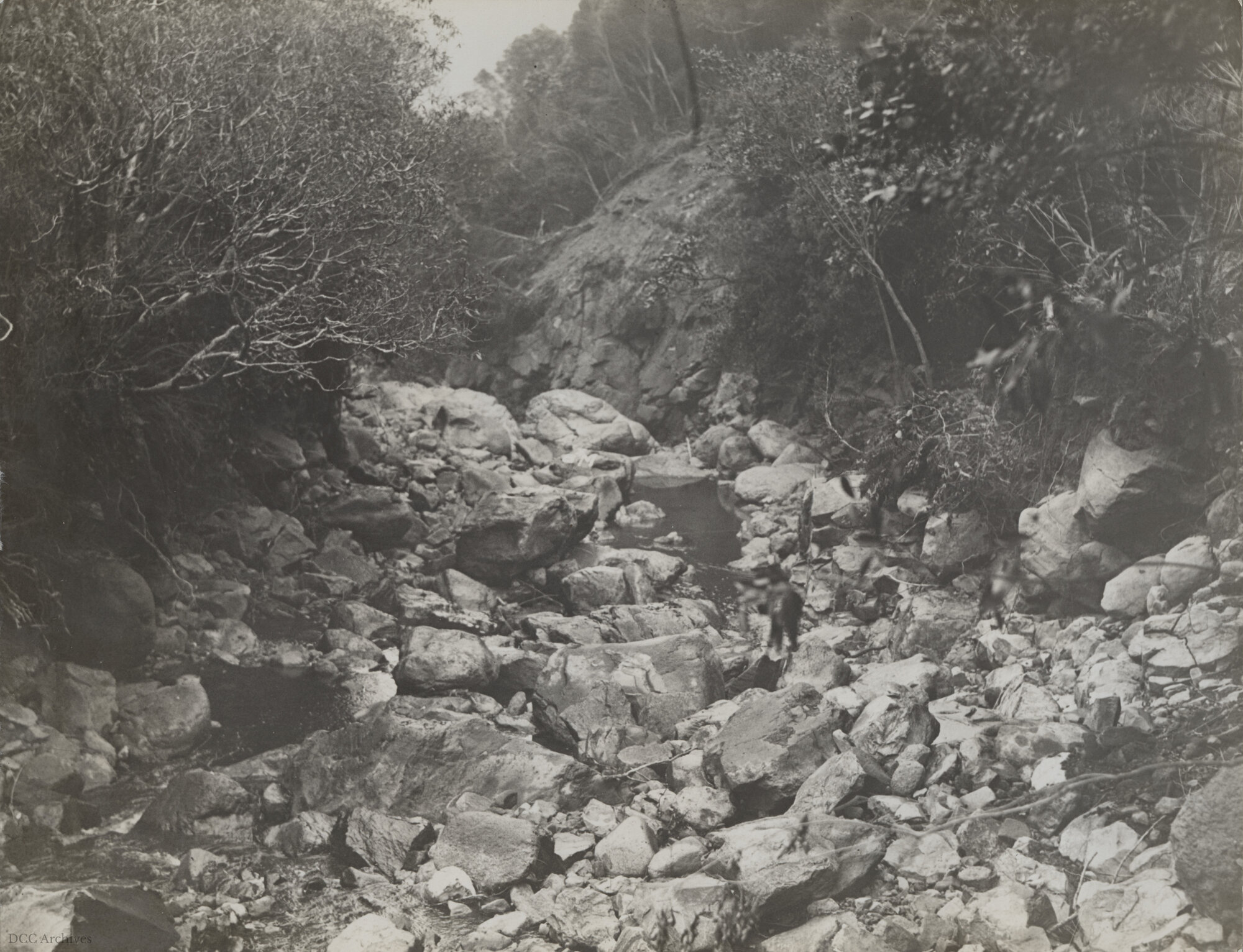 Morrison's Creek