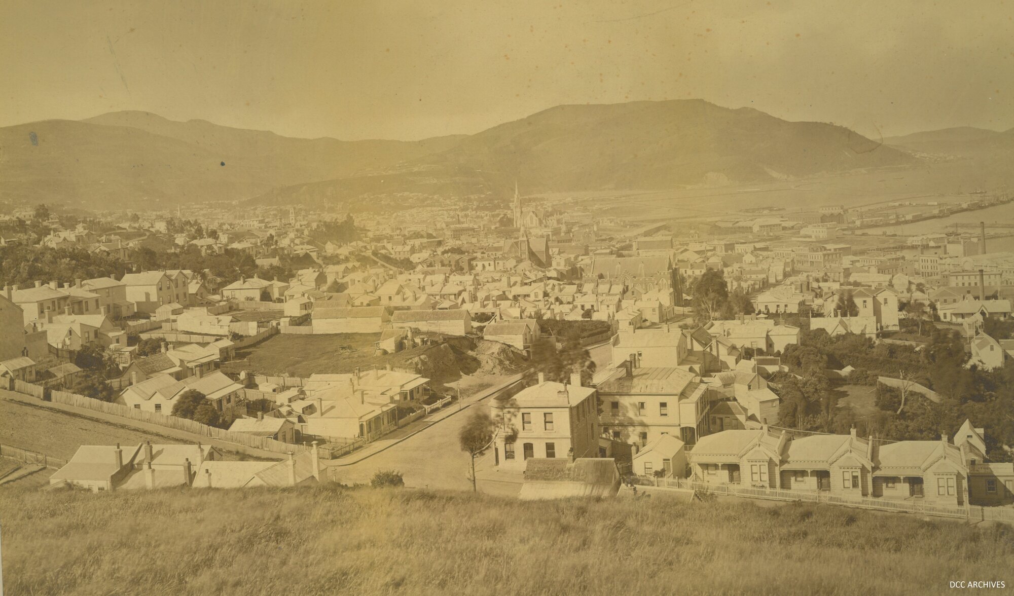 View across Dunedin from above Maitland and Carroll Streets