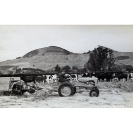 Steele Blackie's Farm, Bush Road Mosgiel