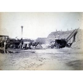 Harvesting on the Taieri Plain, Mr W Kirkland's Elm Grove