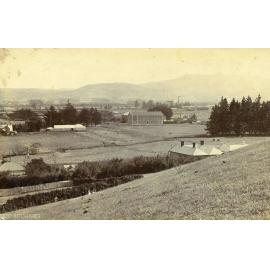 View Towards Holy Cross Cottage, Mosgiel