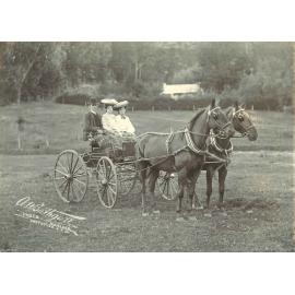 Horse Drawn Carriage