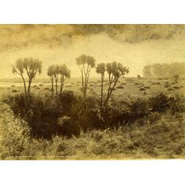 Harvesting on the Taieri Plain, Mr Kirk's Farm
