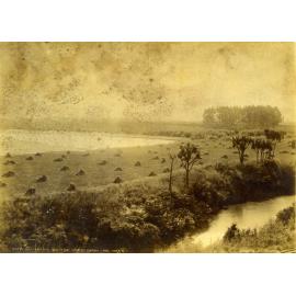 Harvesting on the Taieri Plain, Mr Kirk's Farm