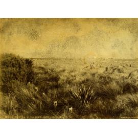 Harvesting on the Taieri Plain, Mr D Grant's Farm