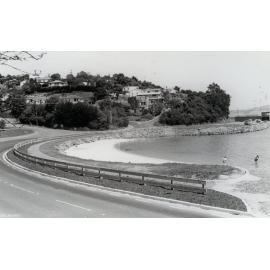 Macandrew Bay Beach