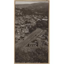 Brook Street, North Dunedin