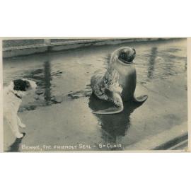Bennie The Friendly Seal, St Clair