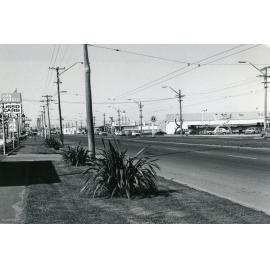 Andersons Bay Road