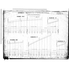 MAORI HILL RETICULATION