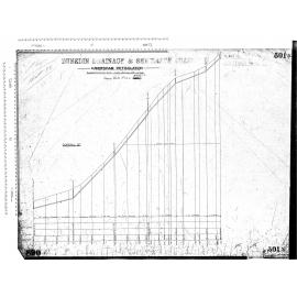 CAVERSHAM RETICULATION