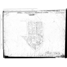 RETICULATION OF ELM ROW