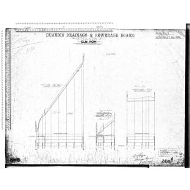 RETICULATION OF ELM ROW