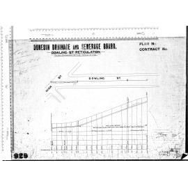 DOWLING ST RETICULATION