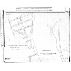 RETICULATION MORNINGTON