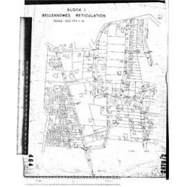 BLOCK 1 BELLEKNOWES RETICULATION