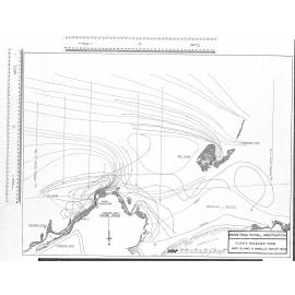 MAORI HEAD OUTFALL INVESTIGATION
