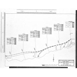 MAORI HEAD OUTFALL INVESTIGATION FLOAT PATHS