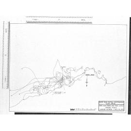MAORI HEAD OUTFALL INVESTIGATION FLOAT PATHS