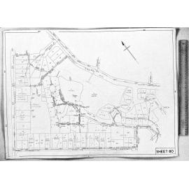 RETICULATION PLAN 80