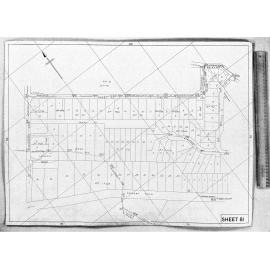 RETICULATION PLAN 81