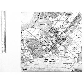 INDEX MAP OF HOUSE TO HOUSE SURVEY SHEETS - ANDY BAY