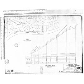 HUDSONS BLOCK HALFWAY BUSH – DUNEDIN – MAJOR DRAINAGE – FOUL SEWER A1 EXTENSION