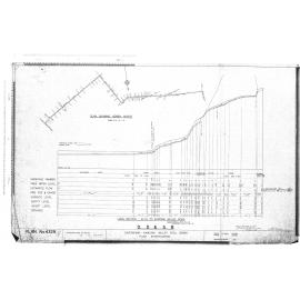 CAVERSHAM - KAIKORAI VALLEY FOUL SEWER FLOW INVESTIGATION