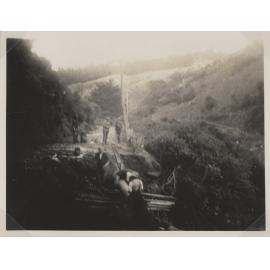 Leith Valley Road Erosion
