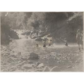 Waterhole in Woodhaugh Gardens