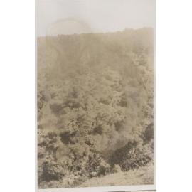 Bethune's Gully