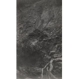 Morrison's Creek