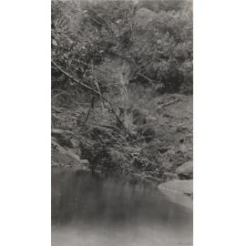 Morrison's Creek
