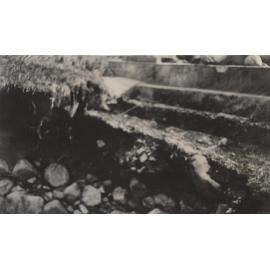 West Branch Intake