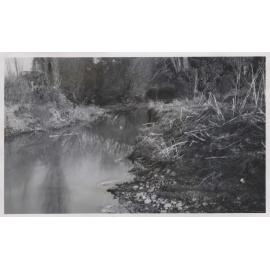 Lindsay's Creek