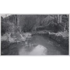 Lindsay's Creek
