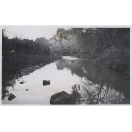 Lindsay's Creek