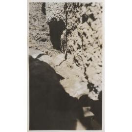 "Trench from Fence"