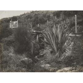 Fernhill Mine